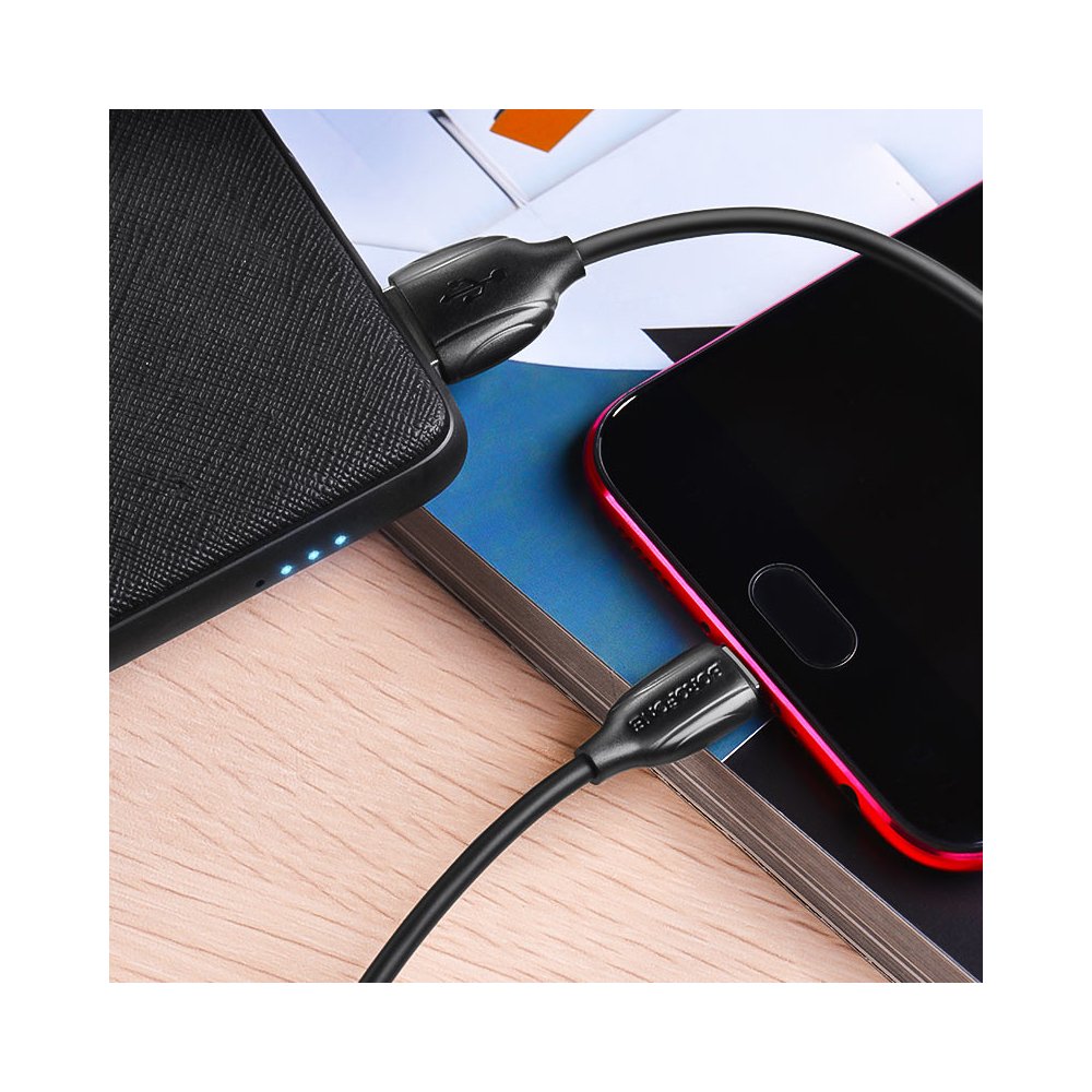 BOROFONE BX19 Benefit charging data cable for Micro Black