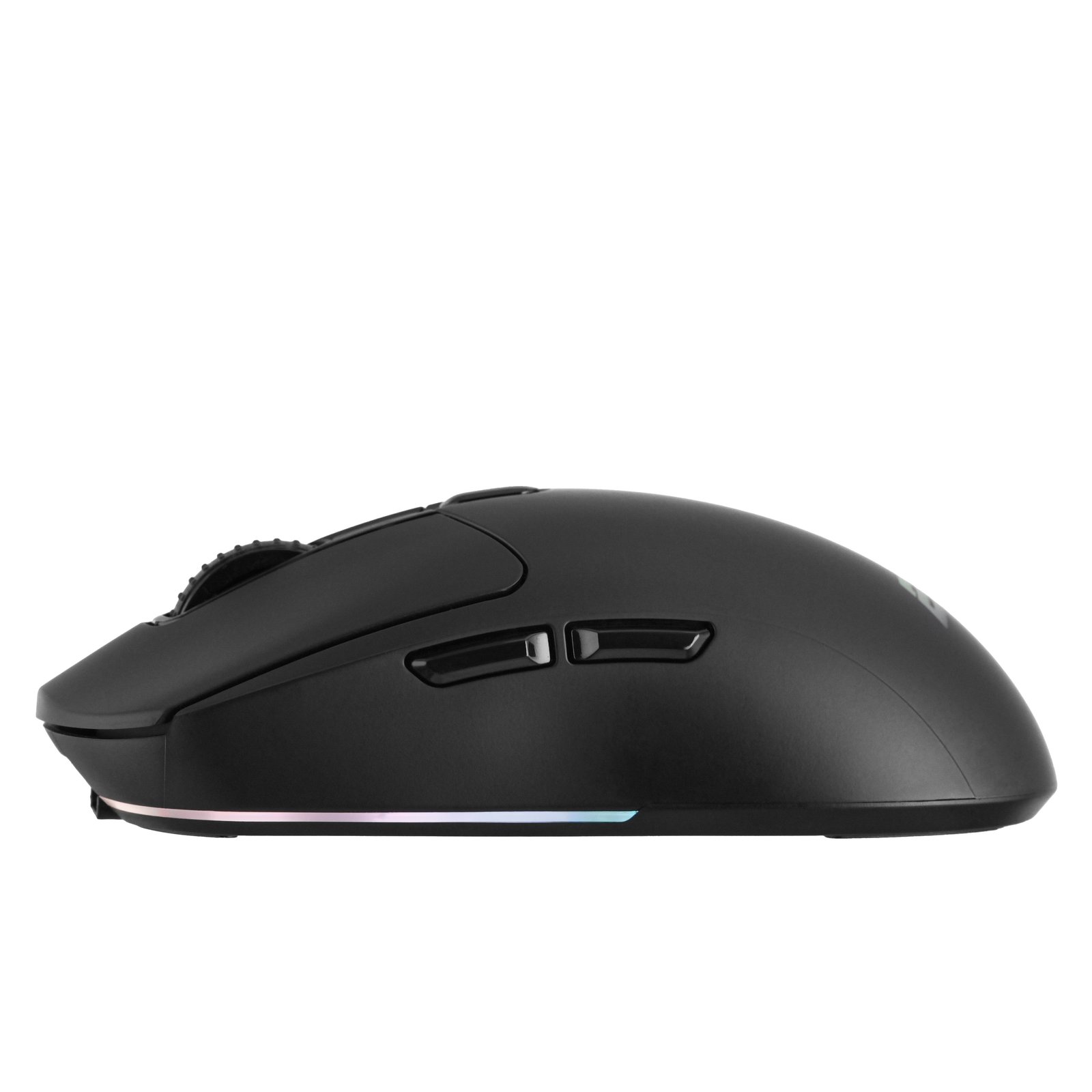 2E GAMING Mouse MG360 WL, USB-A/WL/BT, black